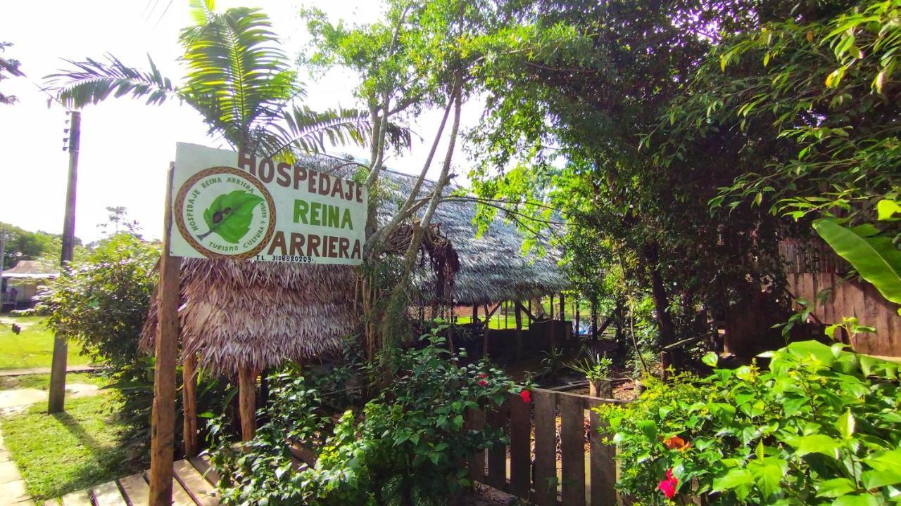 Hospedaje Y Tours Reina Arriera Amazonas Colombia Macedonia エクステリア 写真