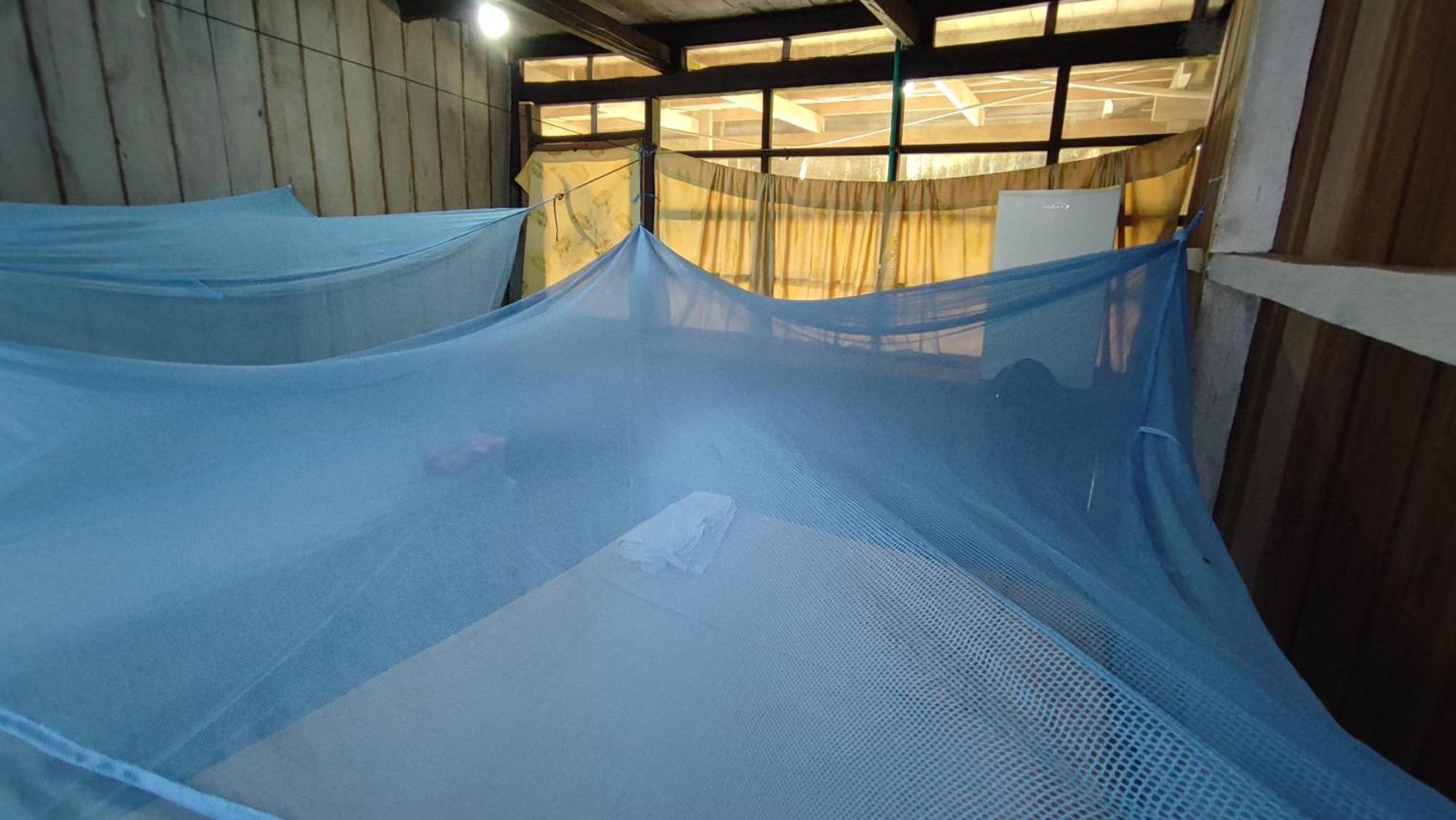 Hospedaje Y Tours Reina Arriera Amazonas Colombia Macedonia エクステリア 写真