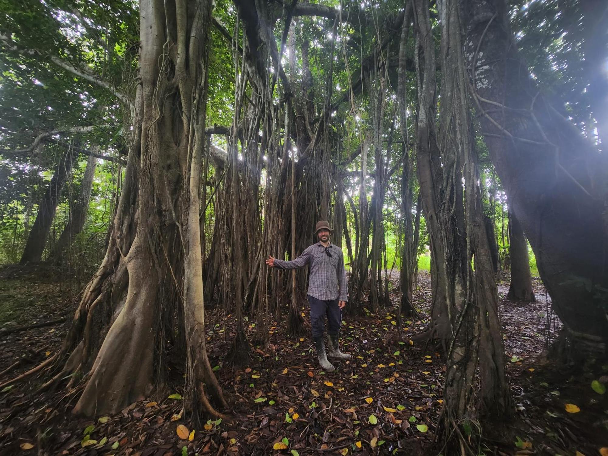 Hospedaje Y Tours Reina Arriera Amazonas Colombia Macedonia エクステリア 写真