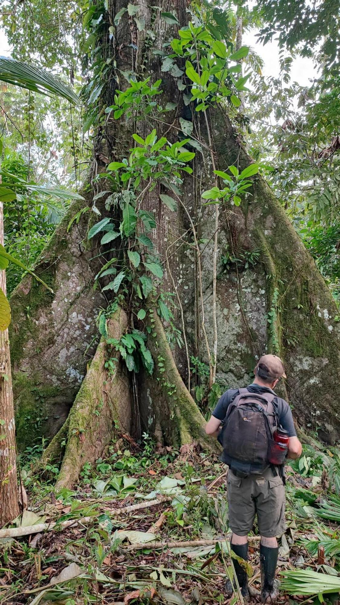 Hospedaje Y Tours Reina Arriera Amazonas Colombia Macedonia エクステリア 写真
