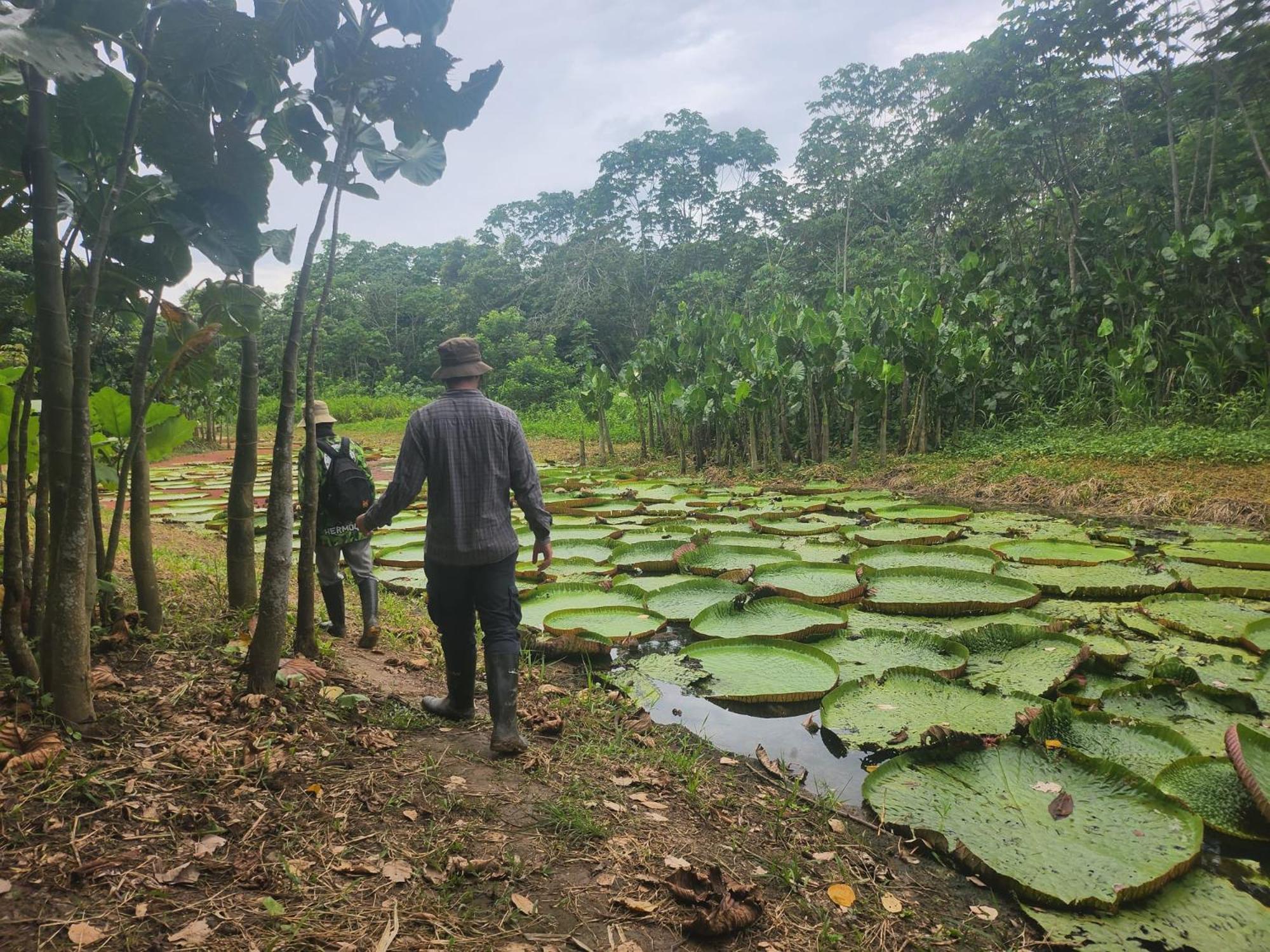 Hospedaje Y Tours Reina Arriera Amazonas Colombia Macedonia エクステリア 写真