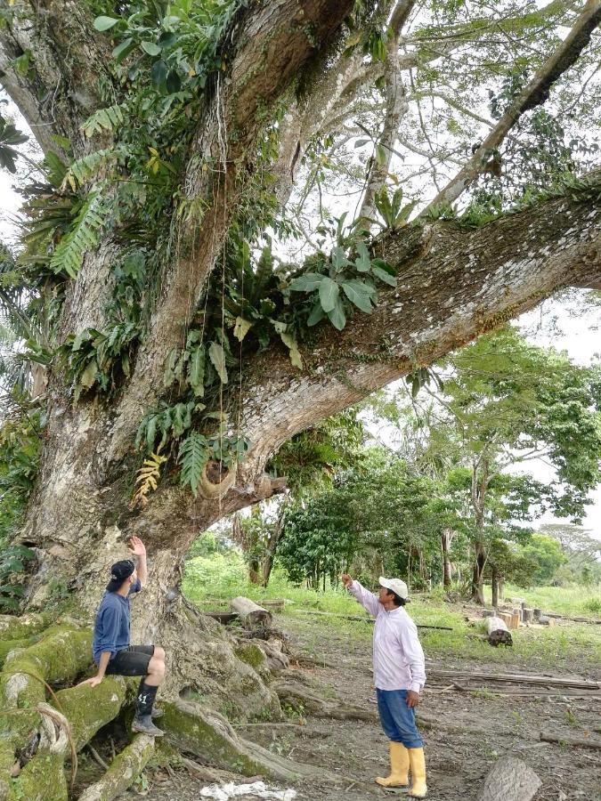 Hospedaje Y Tours Reina Arriera Amazonas Colombia Macedonia エクステリア 写真